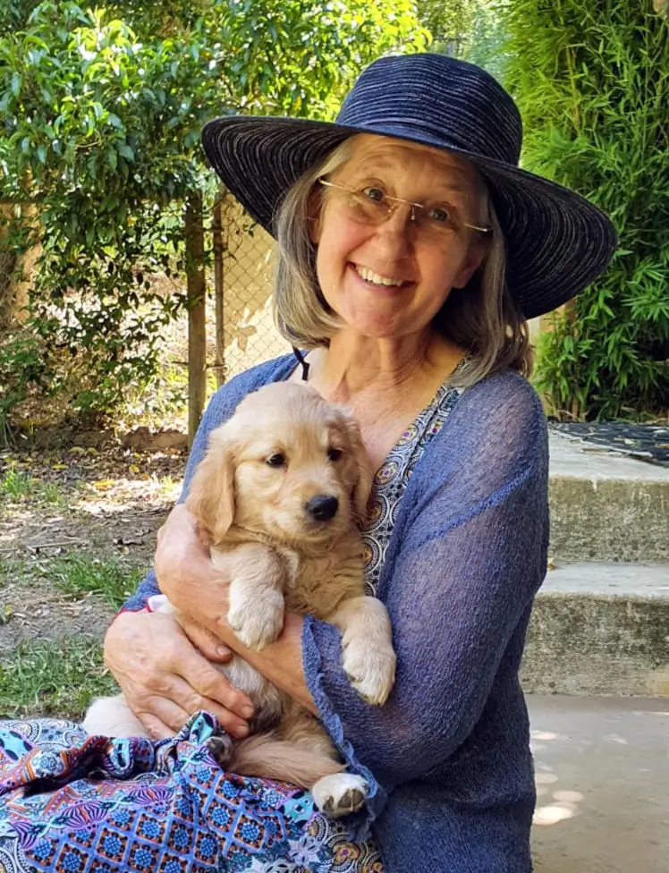 Bonyl Golden Retriever puppy